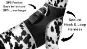 Realtime Detailed GPS Dog Tracking System Water Resilient Collar Mounted Tracker Size:XS