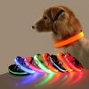 Glow-In-The-Dark Pet Collar For Dog & Cat; LED Dog Collar For Night Walking; USB charging