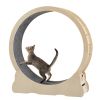 Cat Exercise Wheel - Indoor Cat Treadmill with Carpeted Running Track, Safety Cat Treadmill with Latch, Weighted Wheel for Cats